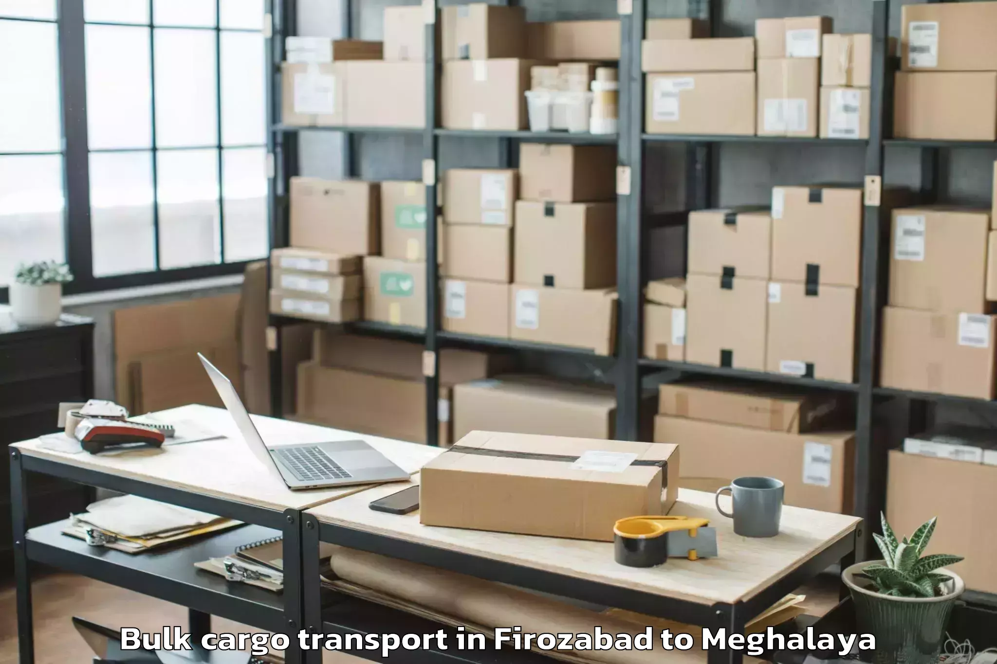 Professional Firozabad to Cherrapunji Bulk Cargo Transport